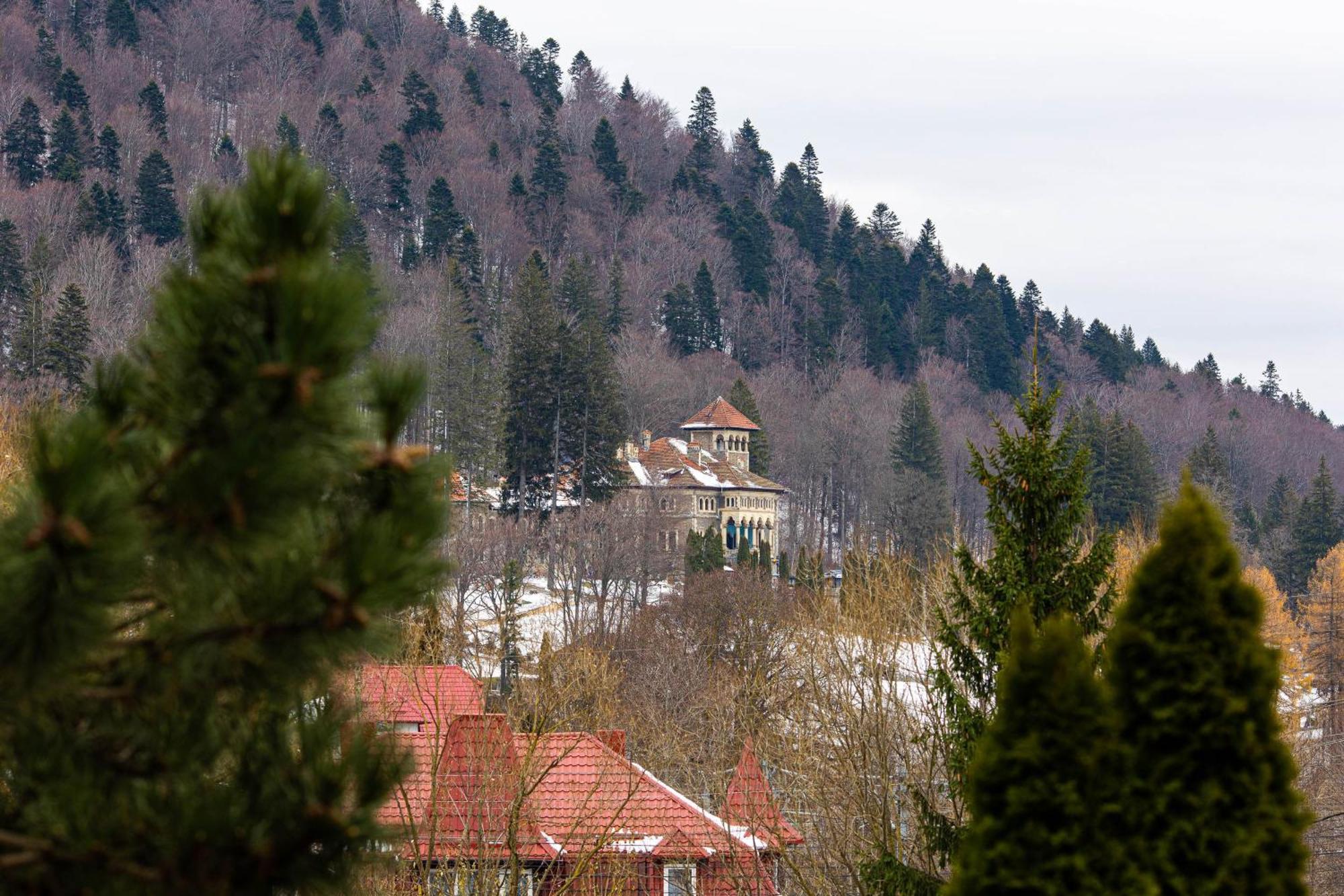 Hotel Alexandros Buşteni