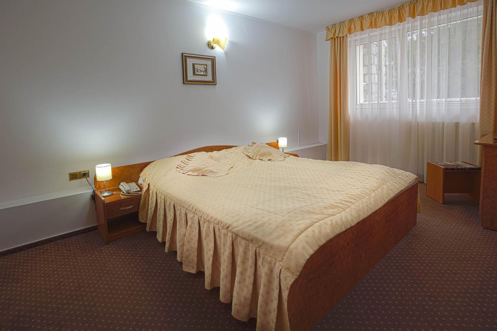 Alexandros Hotel Buşteni